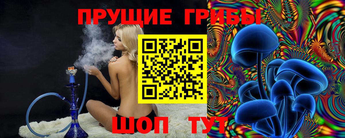 Феодосия  Галлюциногенные грибы Psilocybe  Вход с VPN 